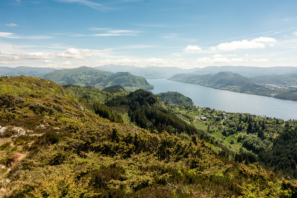 Utsikt innover Sørfjorden fra Iseggene