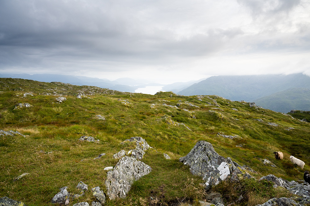Utsikt fra toppen av Krånipa mot Samnangerfjorden