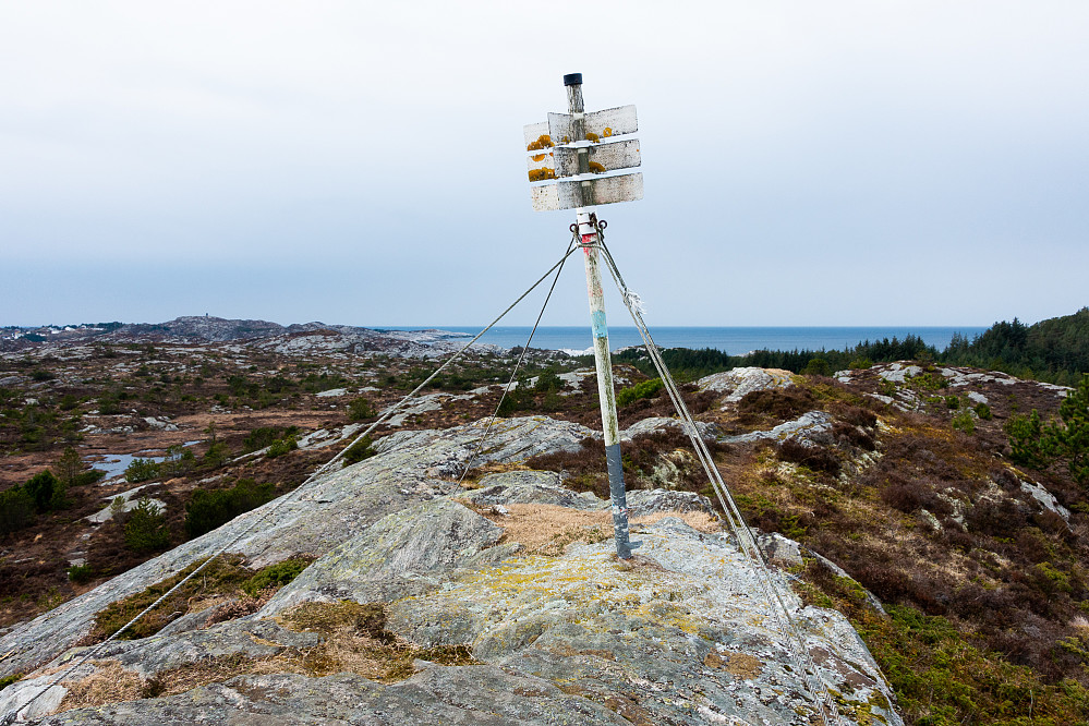 Vikåsen