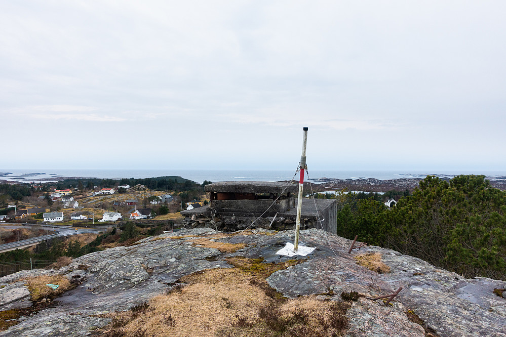 Blomøyknuten