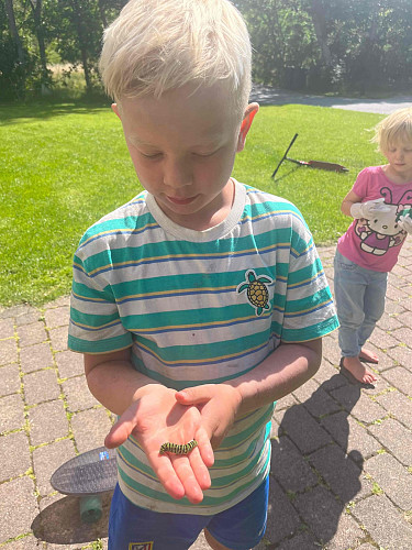 Eskil og Larvid