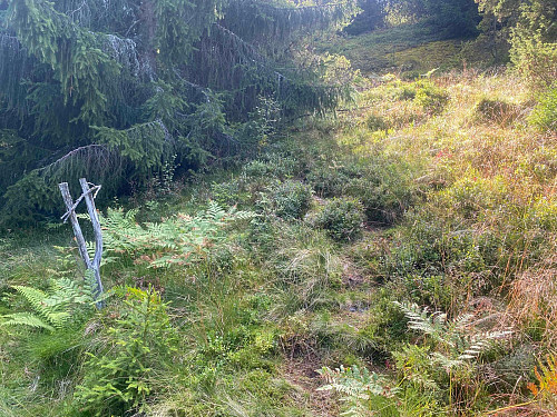 Her gjekk eg vidare rett fram. Det er feil. Følg pila