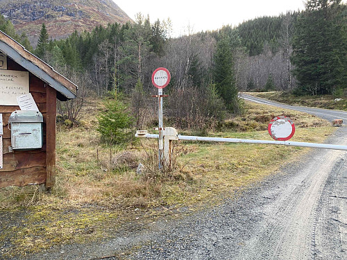 Dagens intellektuelle oppgåve