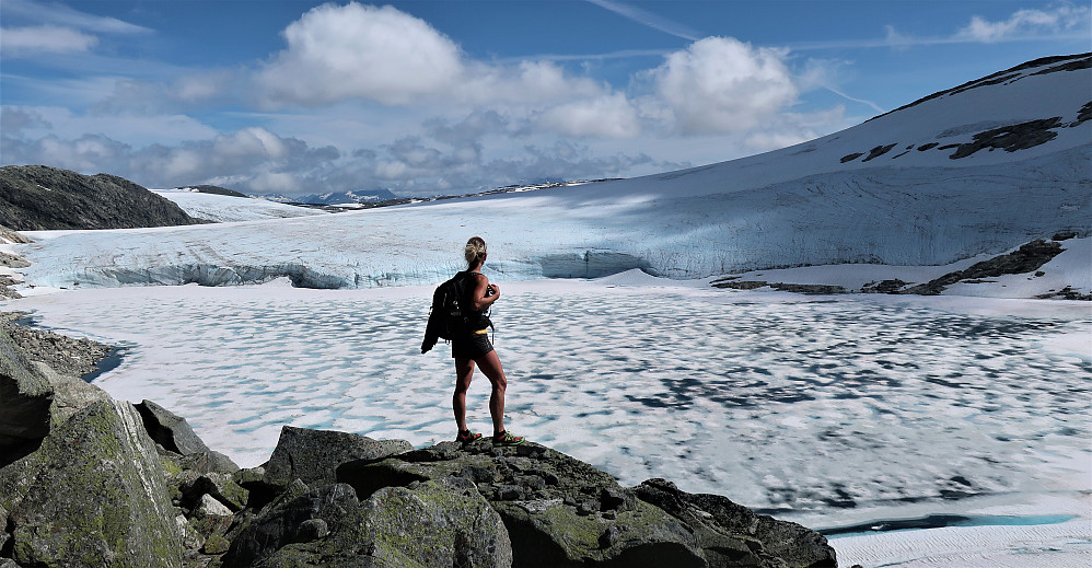 Fantastisk fint å nyte tida og skue imot deler av Spørteggbreen.
