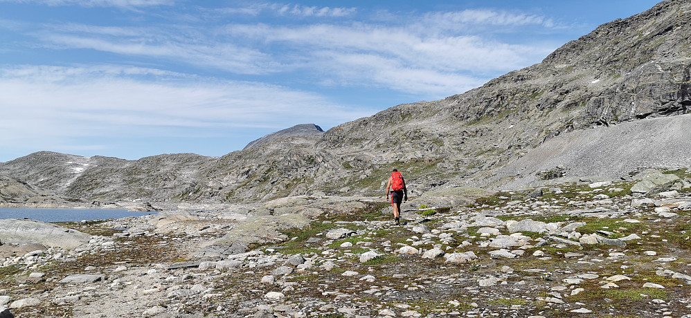 Mot Grønvassbu