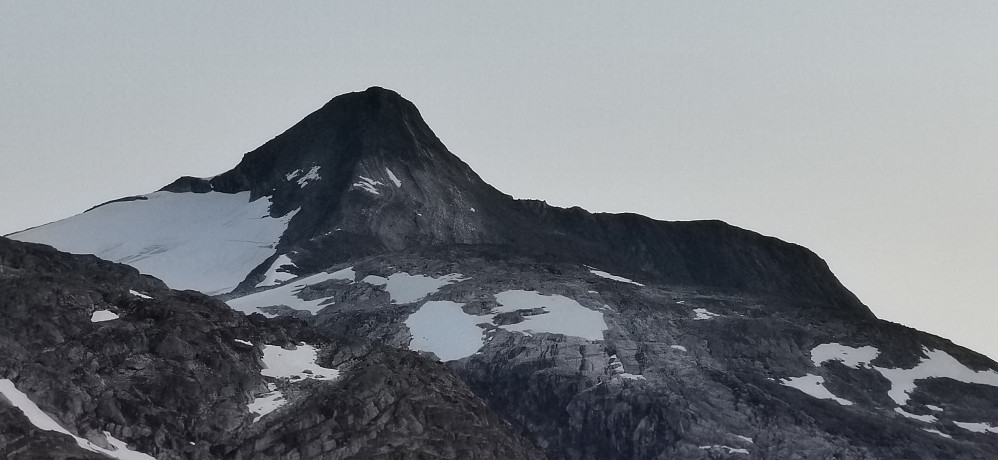 Kveldens eventyrlege Tordsnose
