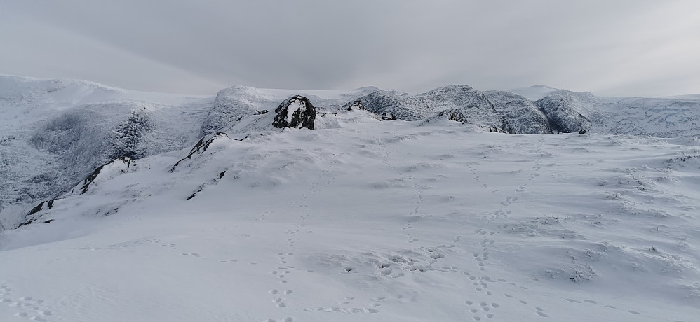 Harepusfjellet! :) Men fjellet heiter Nonsnova. Eg forstår godt at harpus liker seg her oppe, med ei så flott panoramaskue mot Jostedalsbreen