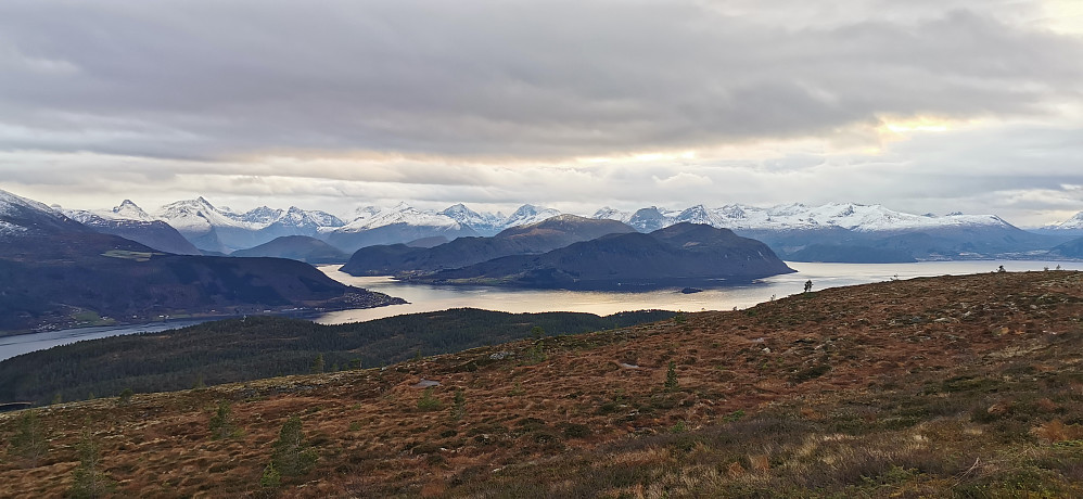  Flott fjellskue mot fine & kjente stortopper! 
