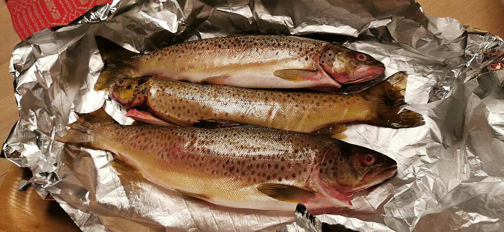 Den gode daffedagen vart avslutta med den definitivt beste Jølstra -auren i godt lag :)