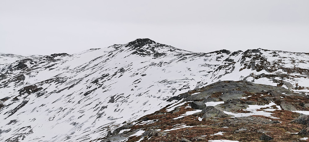 Mot Blåfjellet 967 moh i Gaular