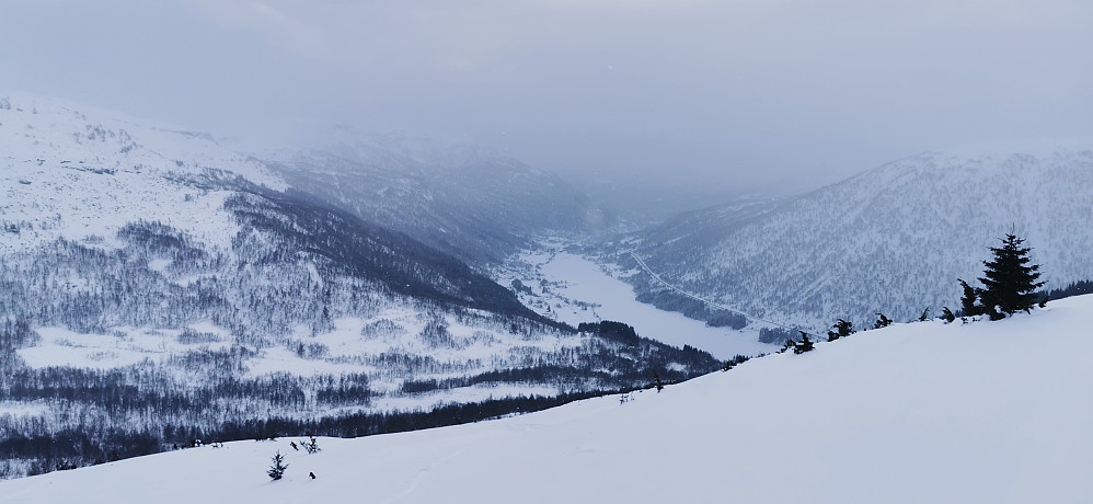 Ovanfor Grøssete med utsikt over Sogndalsdalen 