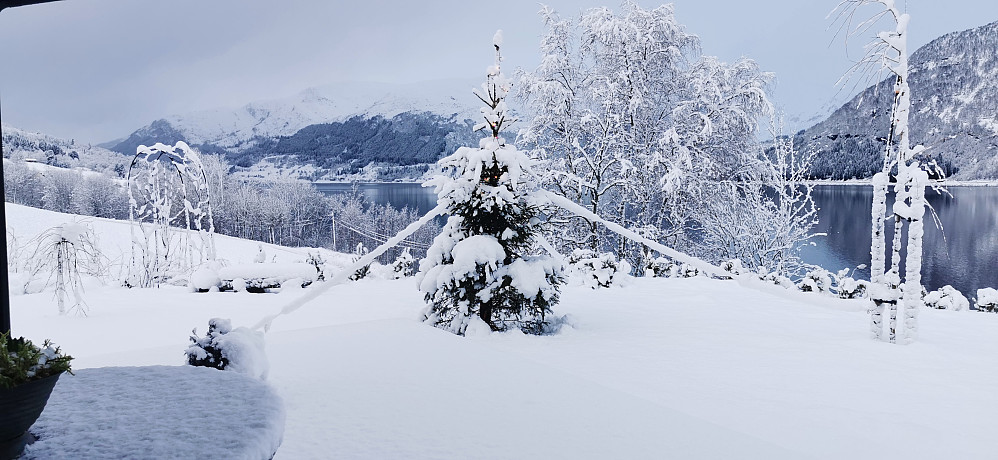 Julestemning i tunet og bardunane til juletreet held!