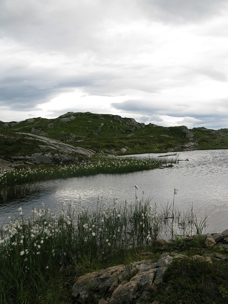 Storetjørna og toppen av Eikåsnipa 826