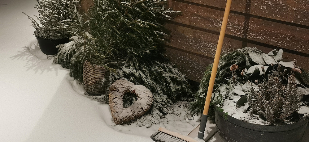 Vekslande ver med pluss og minusgrader! Kjekt endelig med snø i tunet!