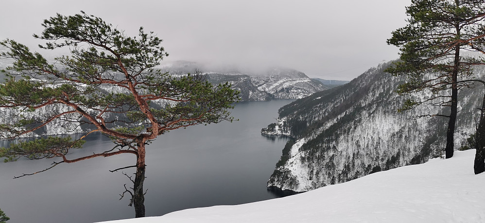 Norddalsfjorden