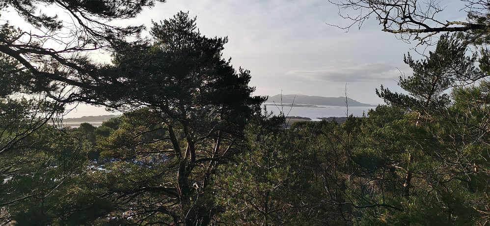 Ifrå Storåsen