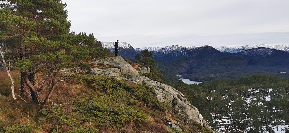 Ifrå toppen av Bufjellet 