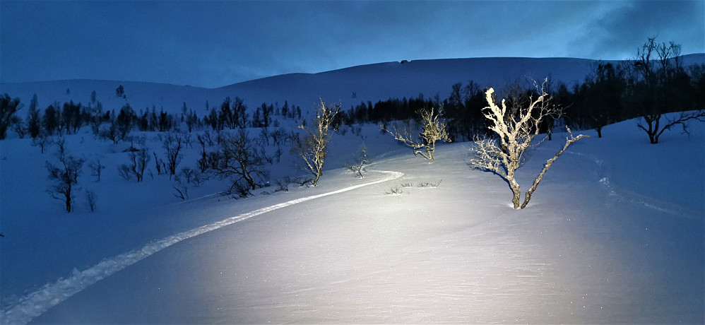 Hærleg nedrenn i fantastisk laussnø! :) 