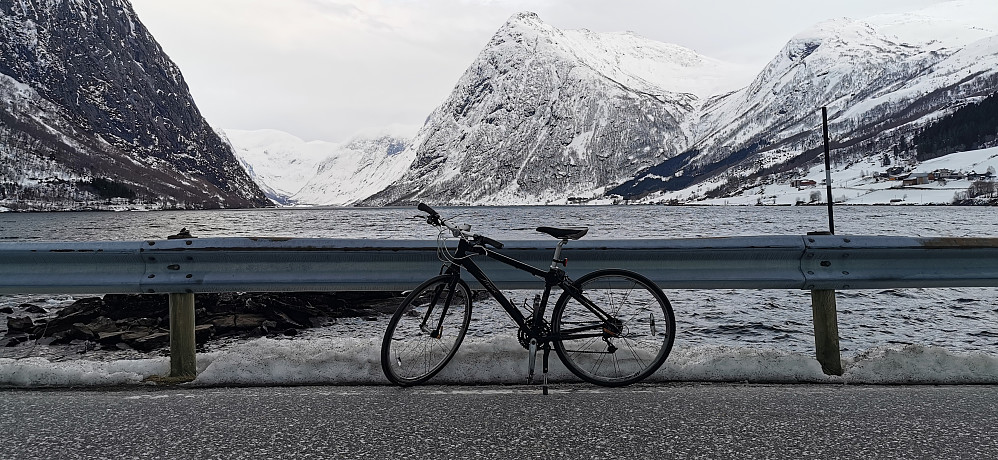 Etter snøføyketur på orkja var det såpass mildt og fint at det frista med ein sykkeltur langs Jølstravatnet. Nesten vårfølelse! Mykje svaner å sjå no på vatnet og ein leiken fossekall. 