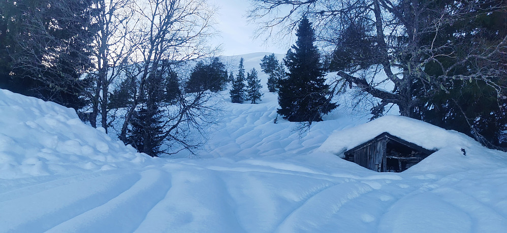 Skareføre langt oppom Uppstunstøylen denne gang! 