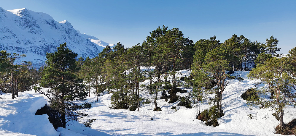 Muladalsåsen i strålande ver! 