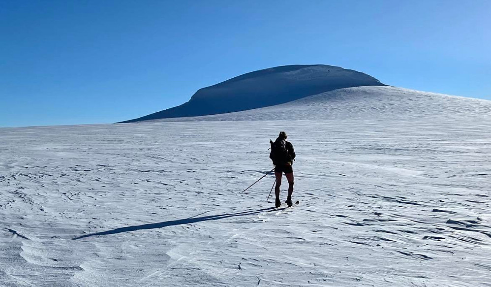 Solvarmt mot Snønipa