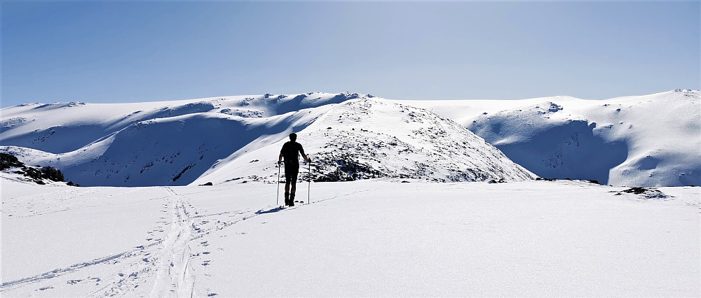 Salsegga mot Grovabreen. 