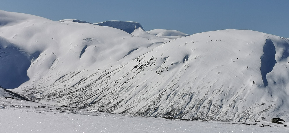 Mot markante Isvassnipa 1437 bakerst i bildet med minne om dei ypperst fantastiske nedrenn ifrå fronten og med Olahansfjellet 1215 like ved og framme i bildet til høgre. Eit populært skifjell har det blitt! :)  