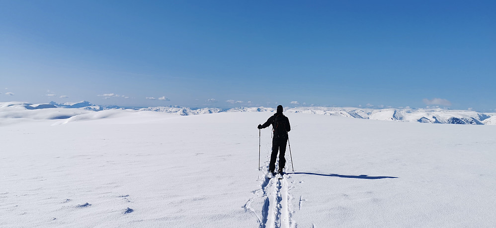 Ei stille på Grovabreens tak! Heller ikkje eit vindpust! 
