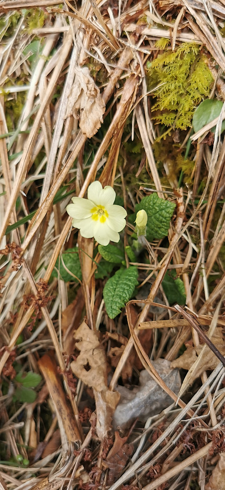 Nydelig vårtegn! :)