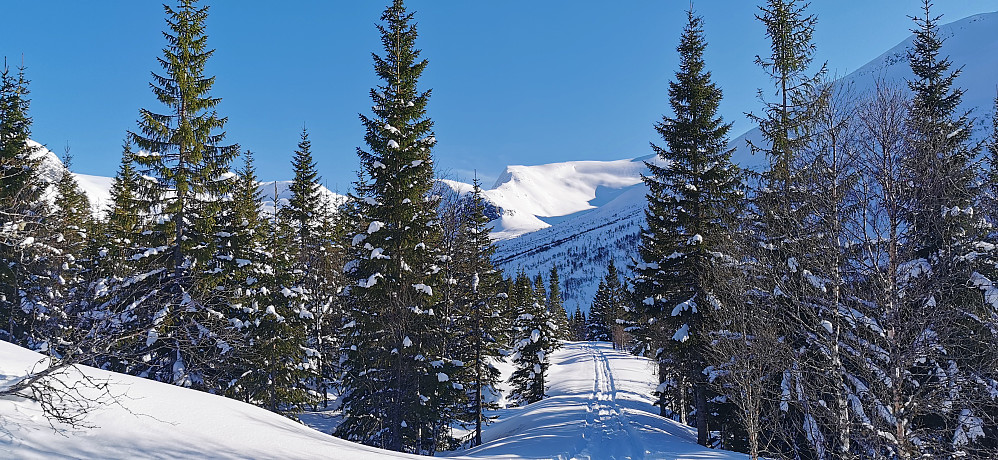 Mot Befringsdalen, Rambjørgebotnen og Bjørgjaryggen. 