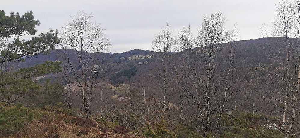 Mot Fjellsbøheia og Selifjellet ifrå Grimstadfjellet