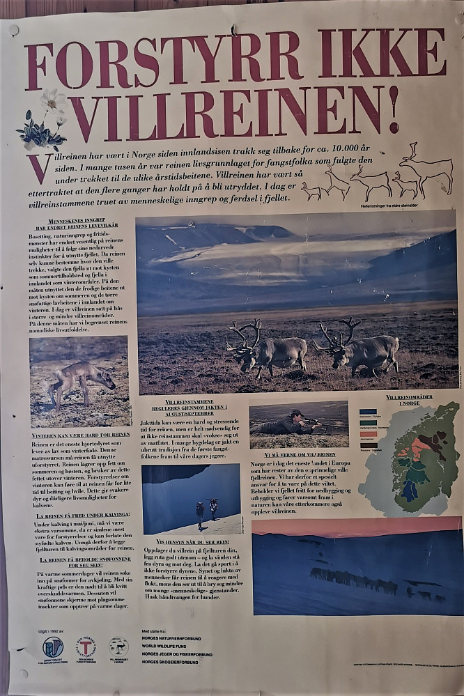 Vemodig lesing! Gjekk og tenkte undervegs, at det var forbausande lite dyreliv å sjå til. Kun nokre få ryper, harespor og revespor. Tenkte på rein under heile turen, kvar er det spor etter dei!