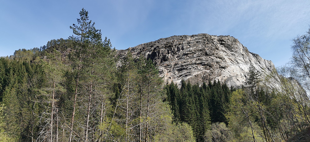 Ifrå Dyrskardfjellet 298 moh mot neste litt spesielle topp! Husafjellet pr idag 11.05.22 på peakbook med høgde 287 moh. 