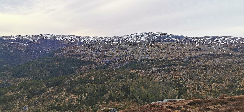 Ifrå Hikletten 497 moh - Vaksdal mot Høgafjellet 868 No ein grensetopp for Osterøy og Vaksdal kommune. Men, Høgafjellet er fortsatt ein kommunetopp for Osterøy kommune.  