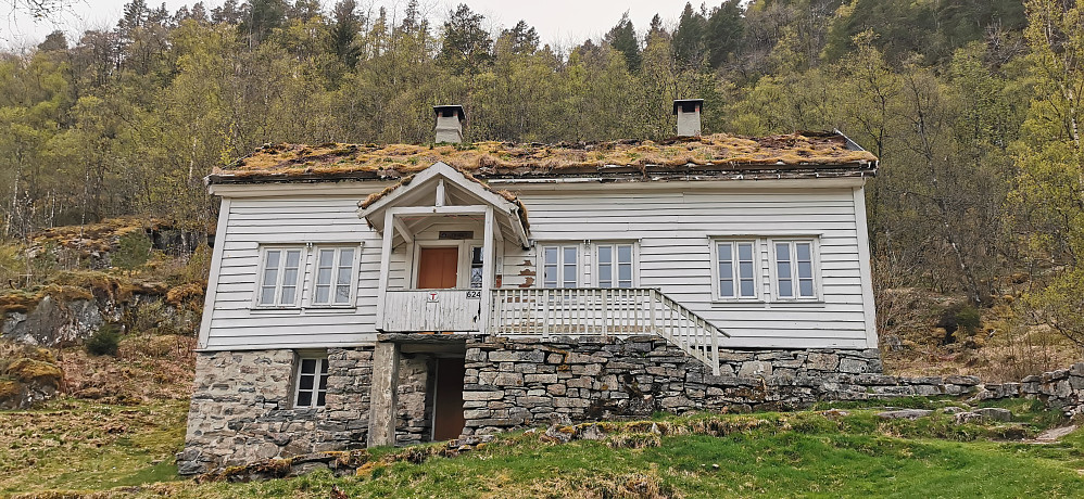 Træet - DNT