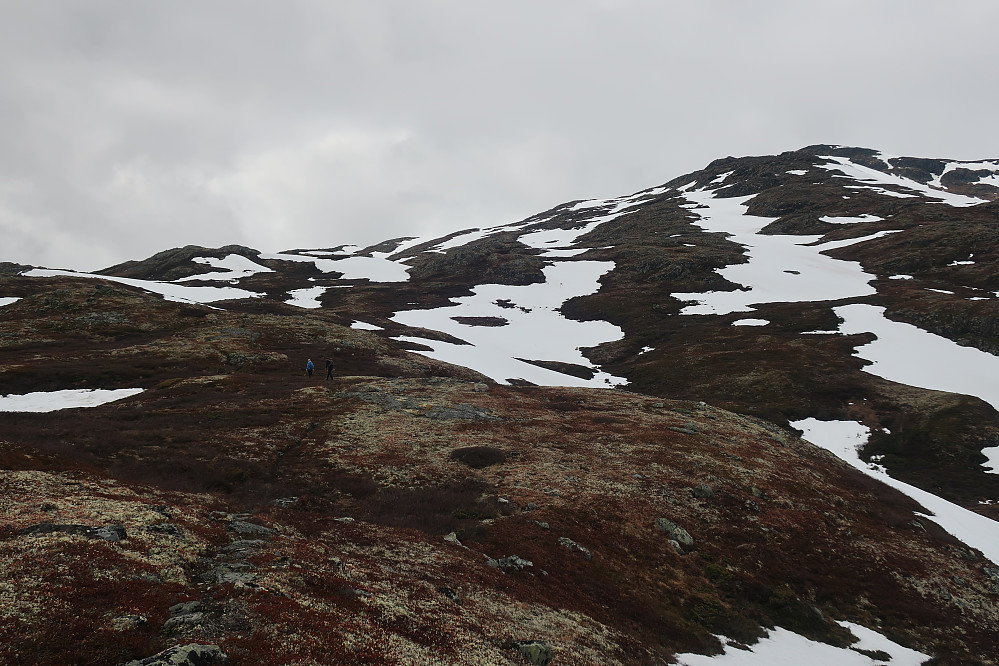 Nokre snøfonner att opp mot Horgehorna