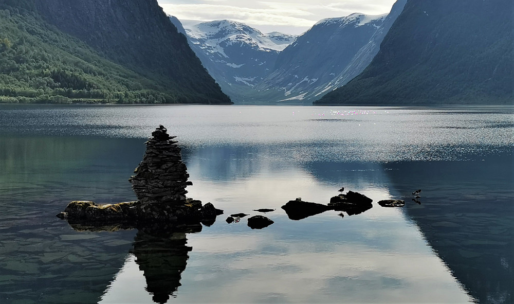 Eit tjeldepar kosa seg ved varden i Kjøsnesfjorden/Jølstravatnet med to dunete kyllinger
