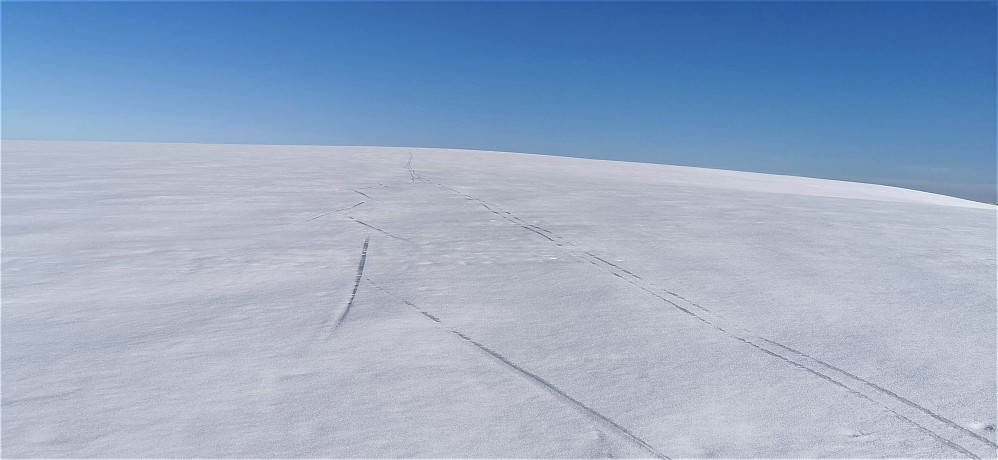 Fine forhold på morgen! Fint å skøyte framover for litt framdrift! Sjølv om eg tenker kvar gong at eg skulle ha glida fjellskia! Det er ikkje lenge før det blir trått føre i sånn solsteik! Det tiltross for tidleg start og oppe på ca 1700 moh