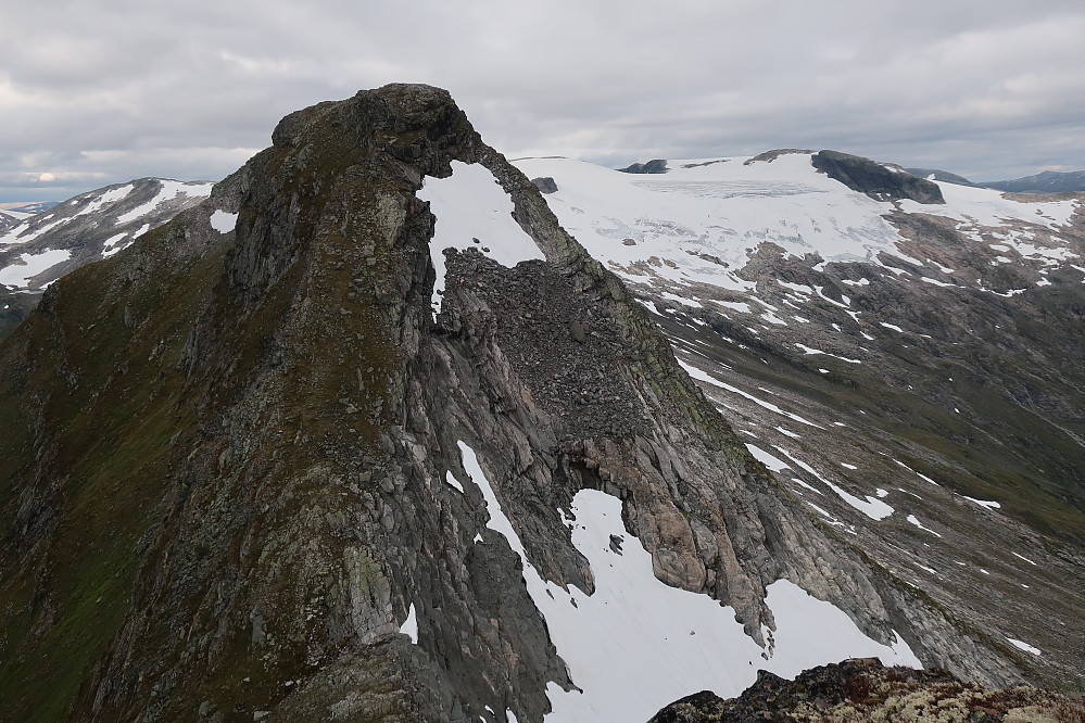 Fjellstølsnipa 1483 moh