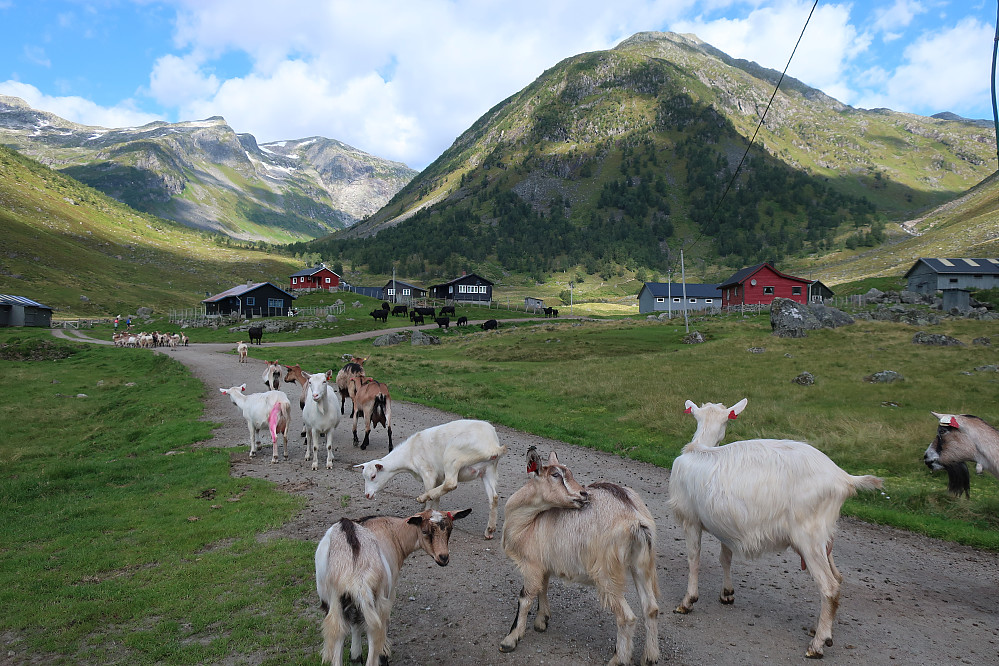 Eit flott område er det ved Anestølen