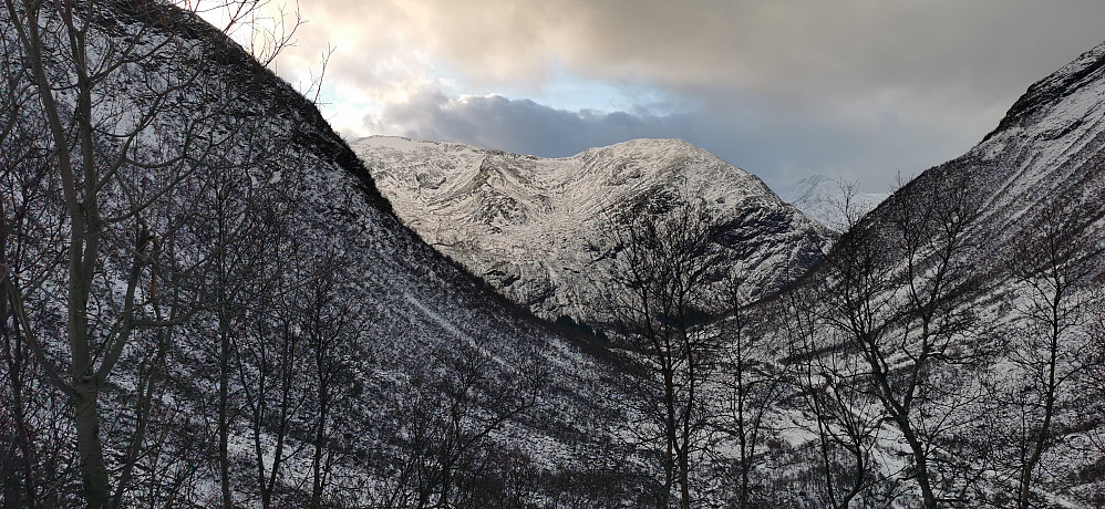 Haugadalen