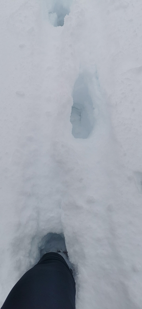 Det vart ei bra økt til fots! Komt bra med snø opp mot Skryklingsstøylen. Ca 40 cm pluss. Kunne fint teke skia hadde eg tenkt. Men, det vart fottur og staver! Heilt supert det også!