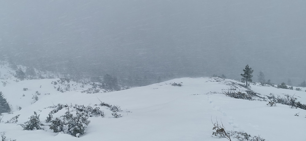 Hærleg fint rufsete ver! Sludd ifrå støylshøgde tyder på mykje fin snø i høgda og fine skiturer dei neste dager! :) 