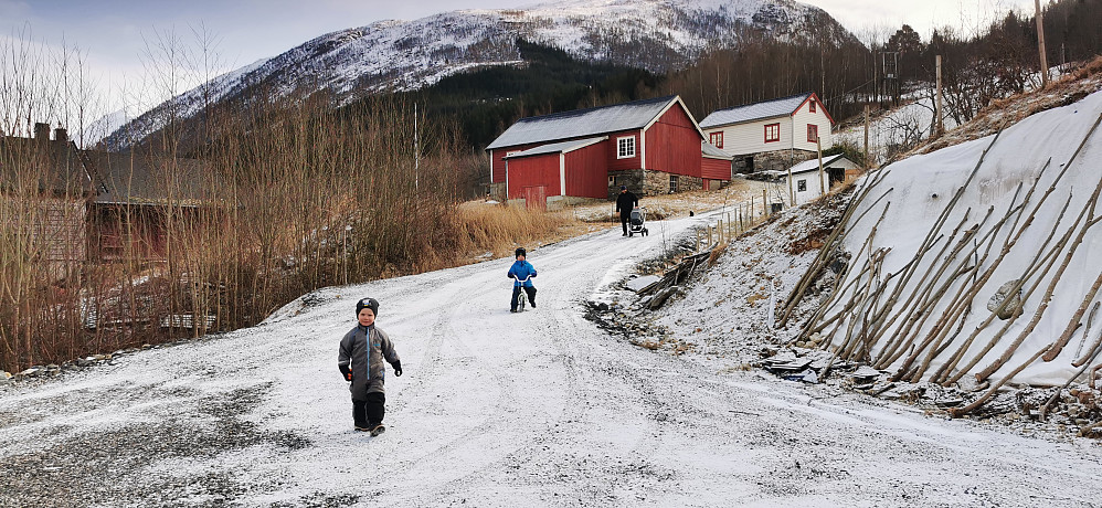 Heimatt i tunet på Rabben! Var det ein frisk nabogjeng, som ville på ute besøk! :) 