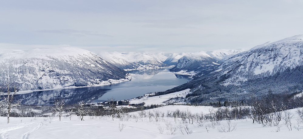 Nydelig dag! Eit blikkkstille Jølstravatn