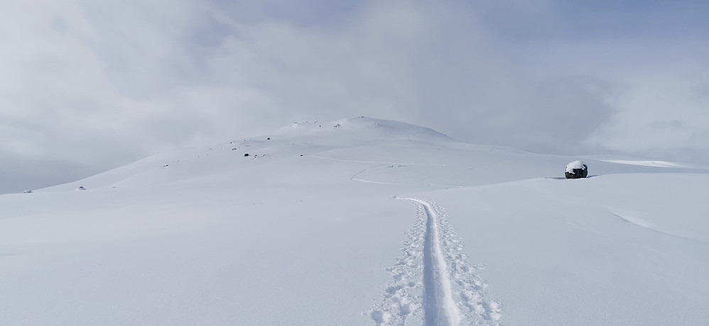 Mot toppen av Sanddalsfjellet