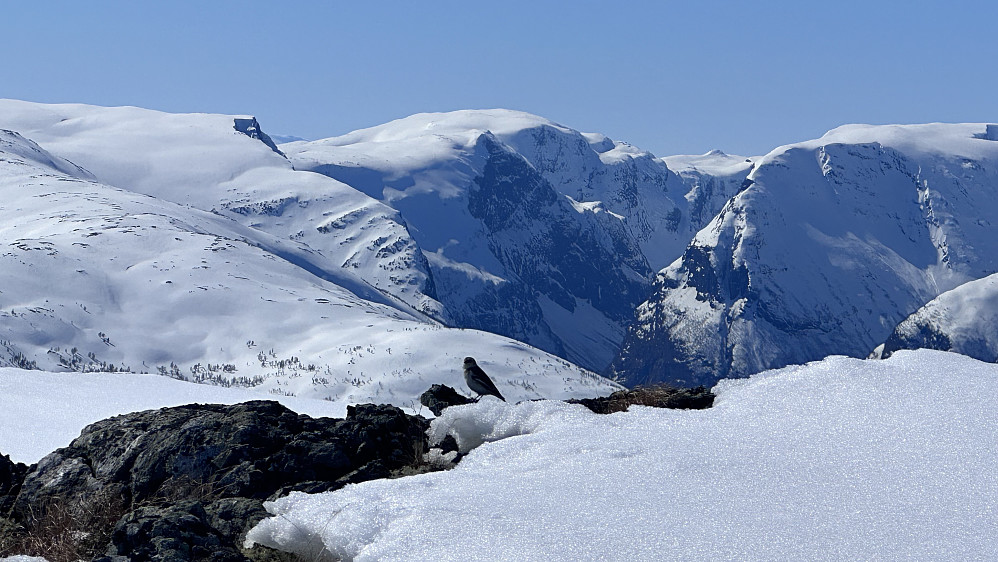 Nydelig stille ifrå Nisedalsfjellet 1379
