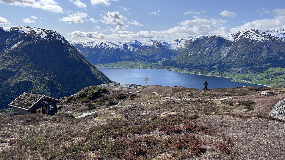Ei fin lita bu! Med Orkja og Jølstravatnet i bakgrunn