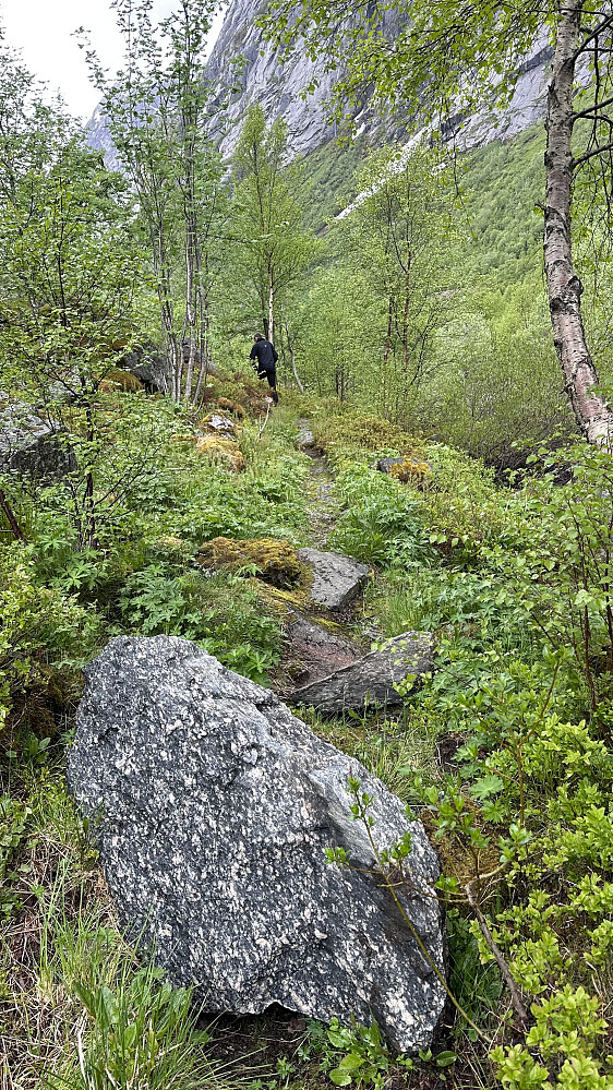 Store steinblokker har rasa ned i turstien heilt i starten ifrå Tuva og punkt 1290 ved Lundeskaret. 